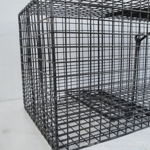 China high quality Stainless steel dog cage Supplier